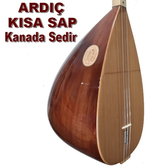 ARDIÇ BAĞLAMA KISA SAP KANADA SEDİRİ