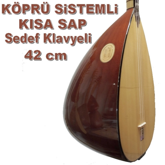 KÖPRÜ SİSTEMLİ ARDIÇ BAĞLAMA KISA SAP 42 cm  