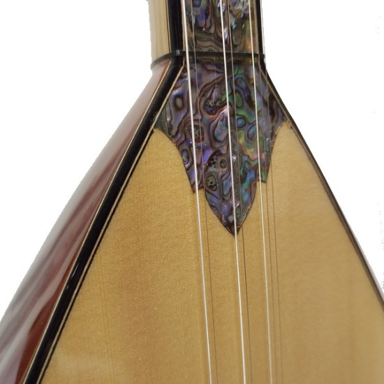 KÖPRÜ SİSTEMLİ ARDIÇ BAĞLAMA KISA SAP 42 cm  