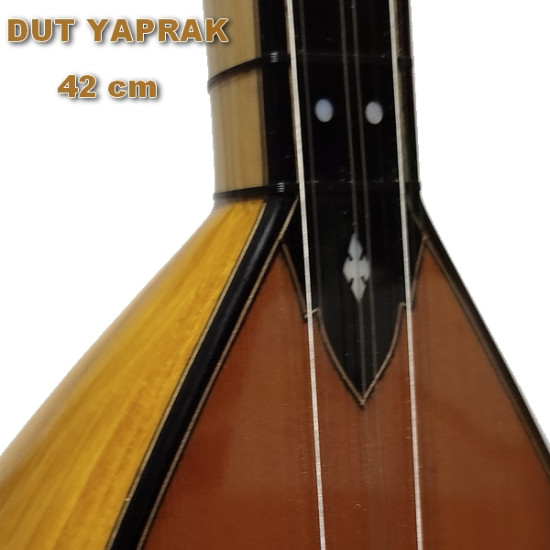 DUT YAPRAK BAĞLAMA KISA SAP 42 cm  