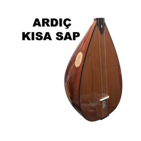 KISA SAP BAĞLAMA ARDIÇ 38,5 cm